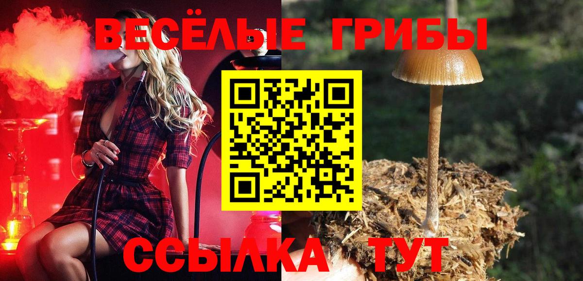Псилоцибиновые грибы Cubensis  Вход с VPN  Карабулак 